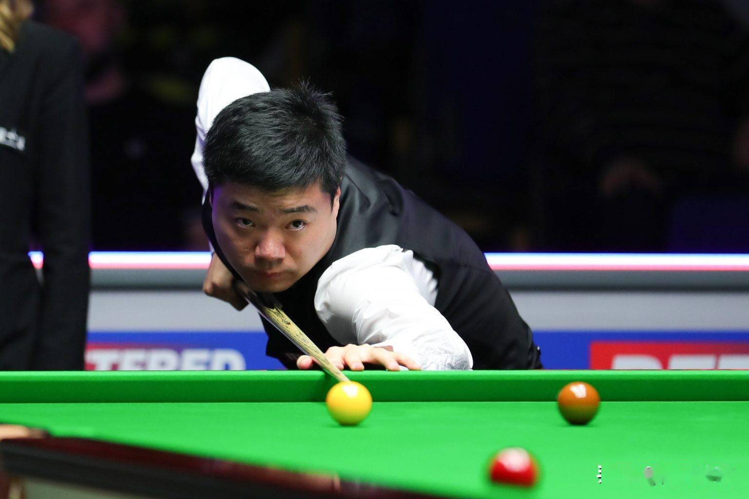 仅解放了梅 仅解放了梅