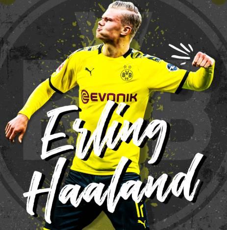 创作者提供 创作者提供