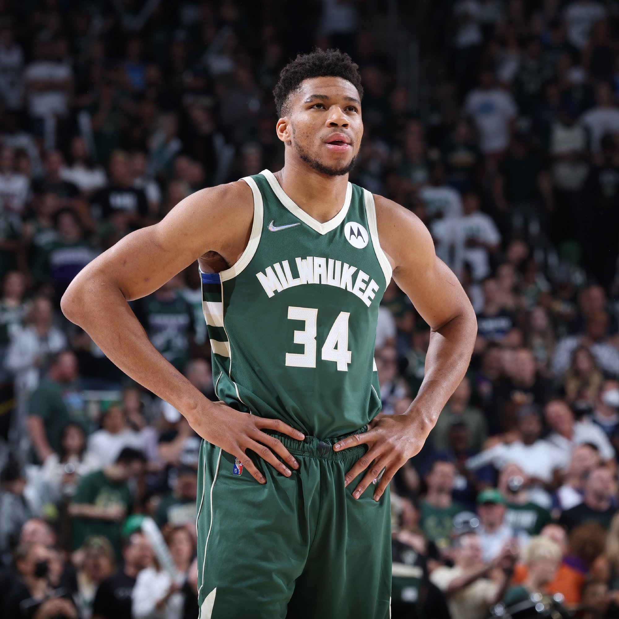 也展示了北 也展示了北